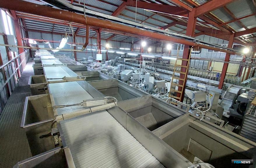 Новый завод для предприятия «Западный берег», рассчитанный на выпуск 350-400 тонн мороженой рыбопродукции