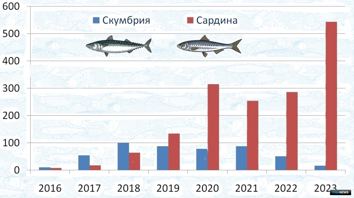 Вылов скумбрии и сардины-иваси в 2016-2023 гг., тыс. тонн