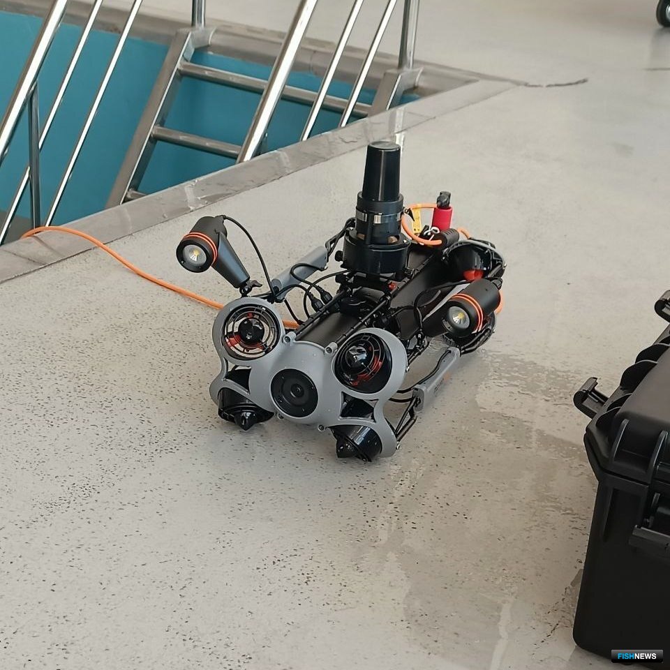 Многофункциональный ТНПА Chasing M2 Pro Max закупался для проведения аквакультурных исследований и обучения студентов. Фото научно-производственного департамента марикультуры Дальрыбвтуза