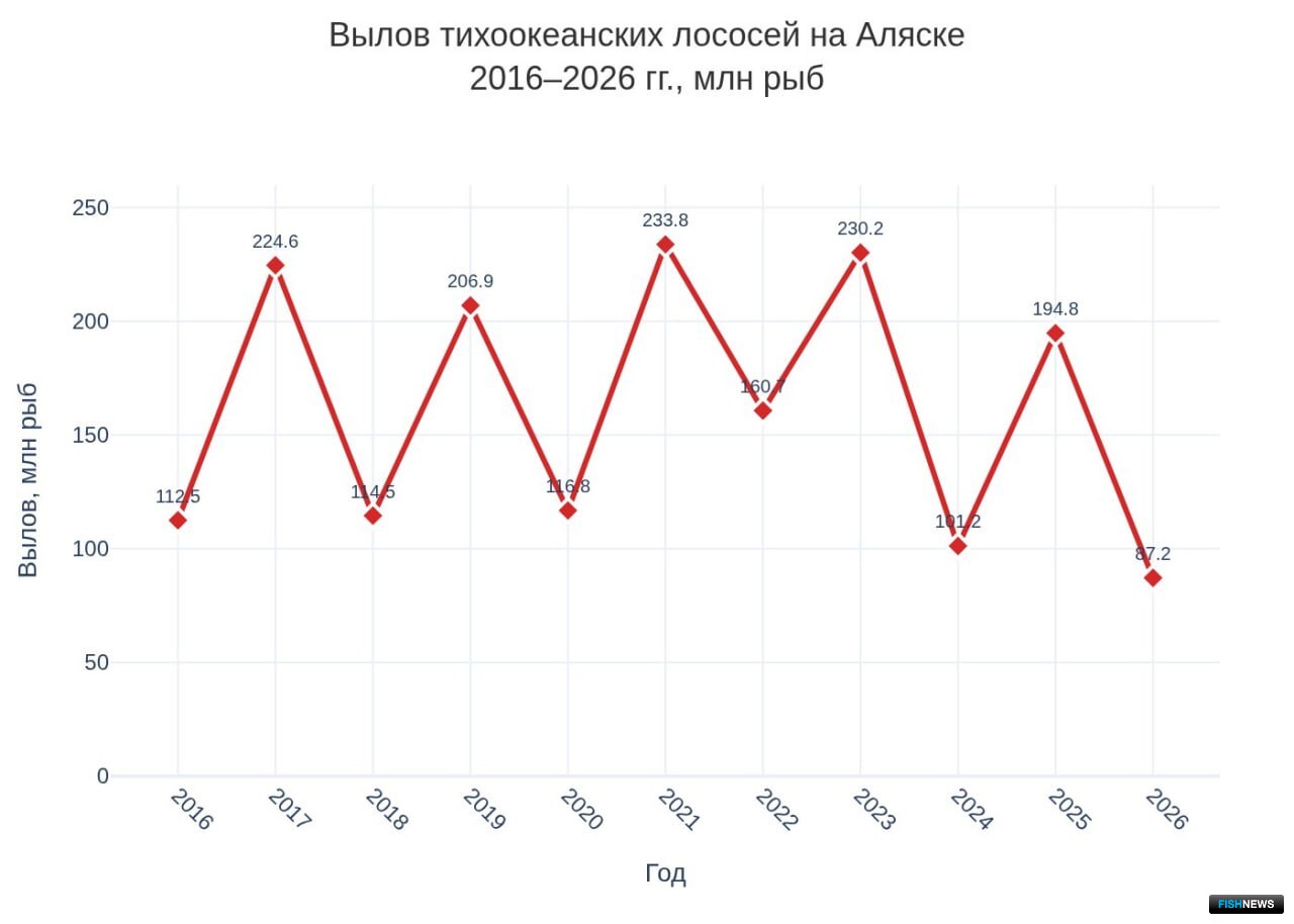 Современный вылов лососей на Аляске 