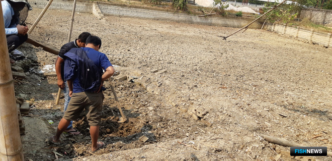 Осушенный пруд в Мьянме