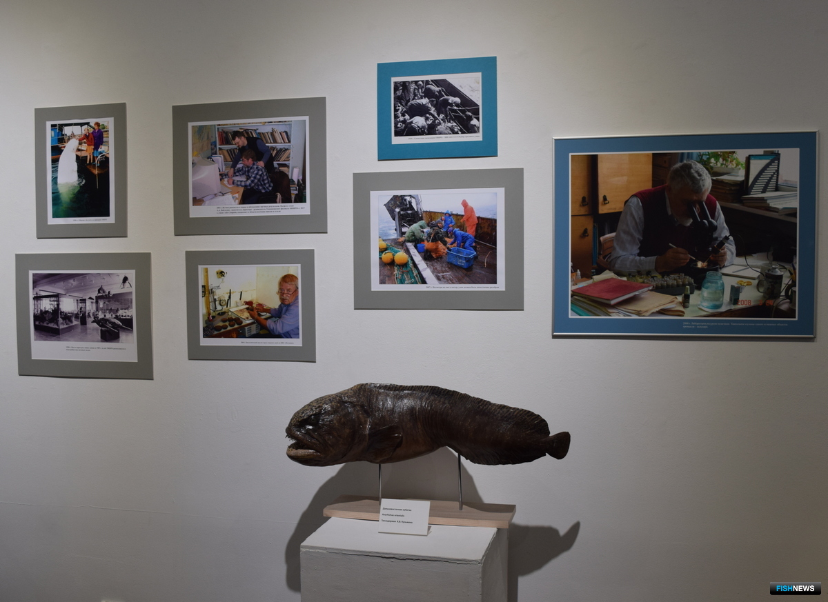 Выставка охватывает вековую историю ТИНРО
