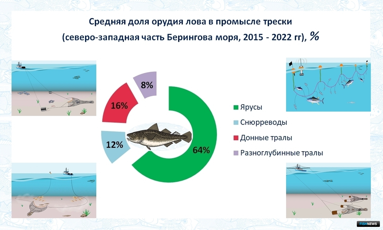 Средняя доля орудий лова в промысле трески в северо-западной части Берингова моря (2015-2022 гг.), %