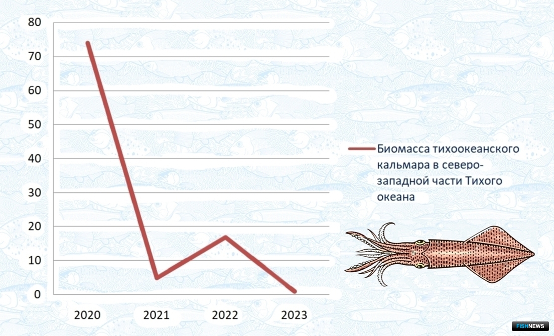 Динамика биомассы тихоокеанского кальмара в СЗТО (2020-2023 гг.), тыс. тонн