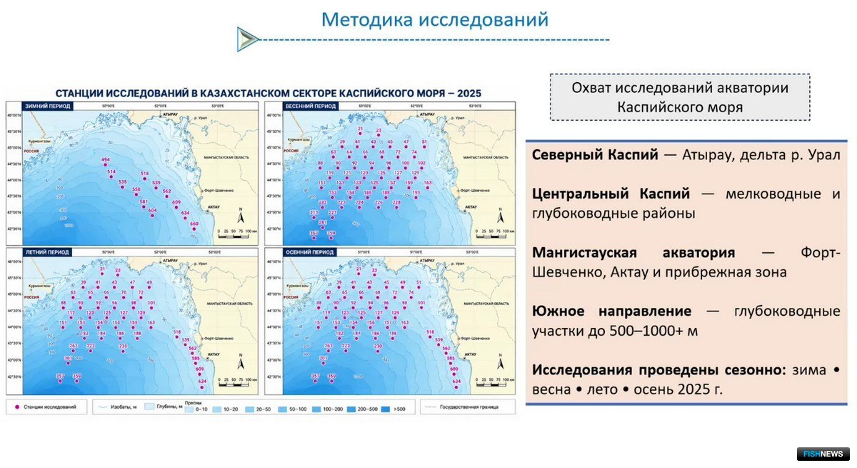 Научные изыскания прошли в казахстанской части Каспийского моря и дельте реки Урал. Скриншот видеотрансляции