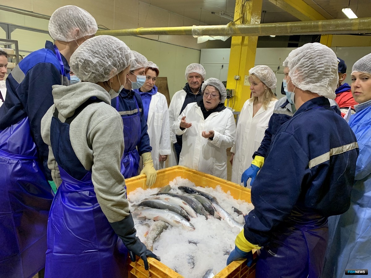 В ходе визита состоялись встречи с трудовыми коллективами и руководством рыбодобывающих предприятий. Фото Ирины Луцковской