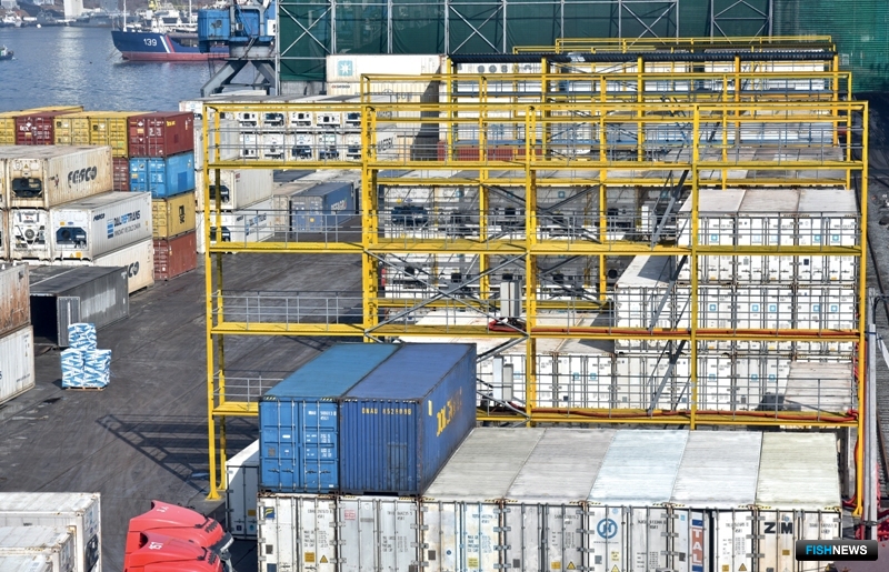 Прошлый год стал для порта показательным в части развития контейнерных перевозок. Общий контейнерный грузопоток составил 266,9 тыс. TEU — рекорд за всю историю предприятия