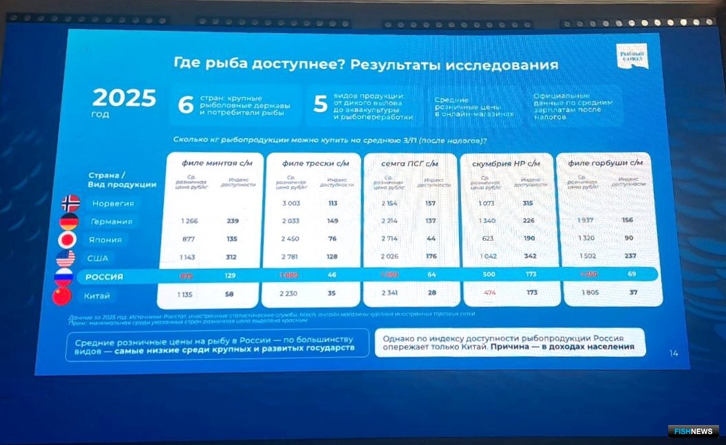 Результаты исследования доступности рыбы в разных странах представили на Рыбном клубе