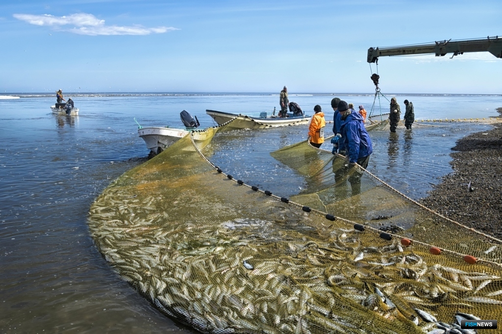 Союз последовательно выступает в поддержку прибрежного промысла. Фото предоставлено ассоциацией