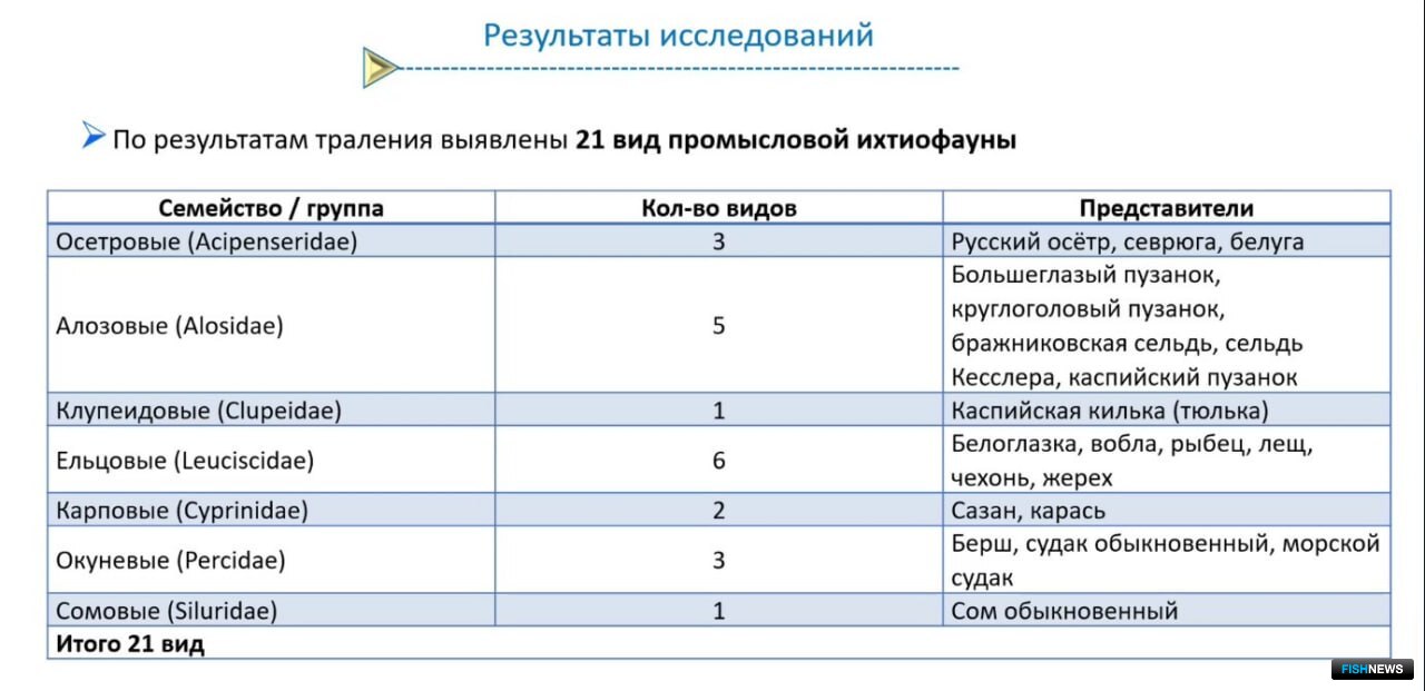 В обследовании акватории был выявлен 21 вид промысловой ихтиофауны. Скриншот видеотрансляции