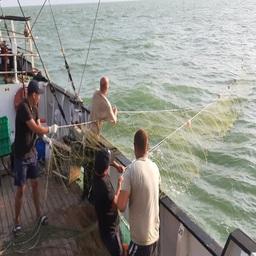Исследовательское судно «Гидробиолог» собрало данные по осетровым и другим видам рыб. Фото пресс-службы КаспНИРХ