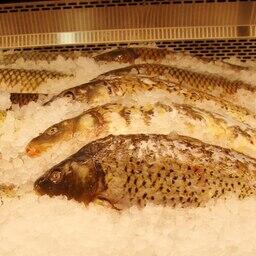 Водоемы Нижнего Поволжья предлагают под аквафермы. Архивное фото