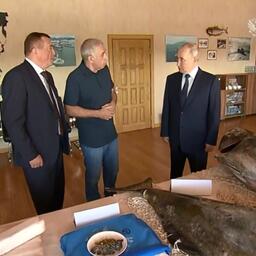 Президент Владимир ПУТИН начал работу на Курилах с «рыбной повестки». Скрин видео пресс-службы главы государства