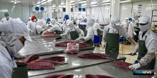 Разделка тунца на вьетнамском заводе. Фото VASEP