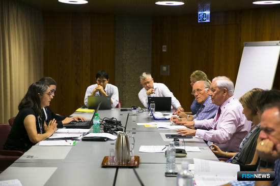 Рабочая группа по осетровым видам на сессии Комитета по животным СИТИЕС. Фото пресс-службы ВНИРО