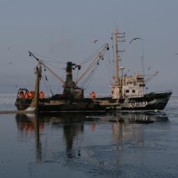 Ассоциация рыбопромышленных предприятий Сахалинской области предлагает рассмотреть возможность автоматического продления документов квалификационного освидетельствования промысловых судов