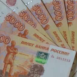 азмер субсидии составляет не более 50% от документально подтвержденных затрат и не может превышать 500 тыс. рублей в год для одного получателя. Архивное фото
