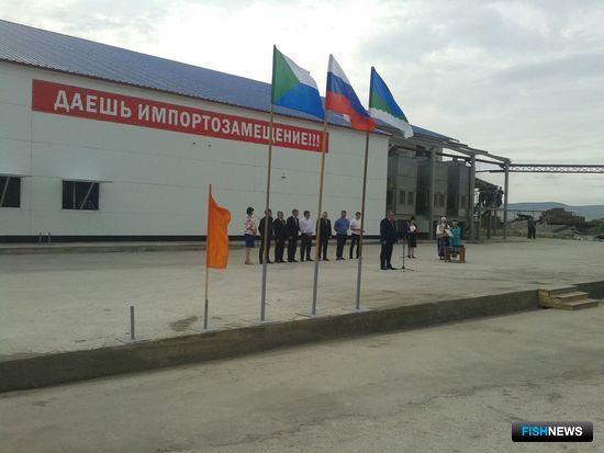 В Хабаровском крае открыли самый большой и современный в регионе рыбоперерабатывающий завод мощностью до 350 тонн по сырью в сутки. Фото предоставлено компанией «Технологическое оборудование»