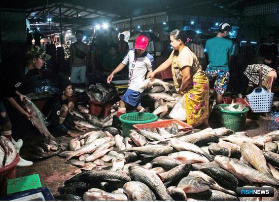 Поставщики на рыбном рынке Ки Мин Дайн. Фото Myanmar Times