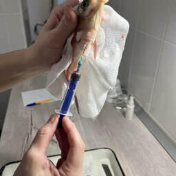 Специалисты изучают перекисные процессы в крови и тканях рыб из Цимлянского водохранилища, водохранилищ ВДСК, Волги и озера Цаца. Фото пресс-службы ВНИРО