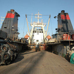 Pacific Andes попросили из российской рыбодобывающей отрасли