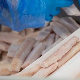 Производство рыбного филе на российском заводе. Архивное фото