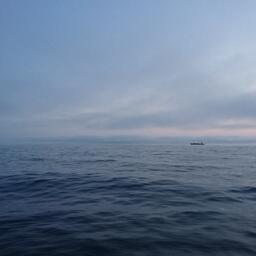 Вступил в силу Договор ООН об открытом море. Архивное фото