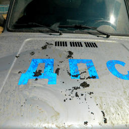 Часть деликатеса попала на капот автомобиля ДПС. Фото пресс-службы Управления МВД по Астраханской области