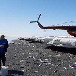 Работы выполняли два специалиста КамчатНИРО. Фото пресс-службы ВНИРО