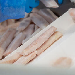 Компания «Парк» построила в Мурманске два береговых завода большой мощности по переработке трески, пикши и других видов рыб. Архивное фото