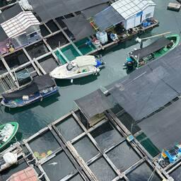 Аквафермы в Китае. Своим опытом в этой сфере КНР намерена поделиться с Бахрейном