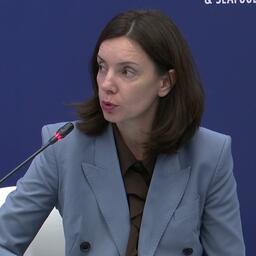 Заместитель губернатора Мурманской области — министр развития Арктики и экономики региона Светлана ПАНФИЛОВА. Скриншот трансляции