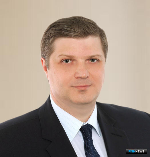 Заместитель генерального директора Фонда развития Дальнего Востока Дмитрий ЧЕРНЫШЕВ