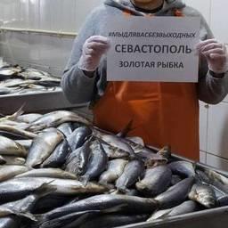 Рыбаки и рыбопереработчики фотографируются с табличками с хештегом #мыдлявасбезвыходных. Фото пресс-службы городского департамента сельского хозяйства