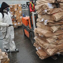 Обеззараживание рыбной продукции в порту Владивостока