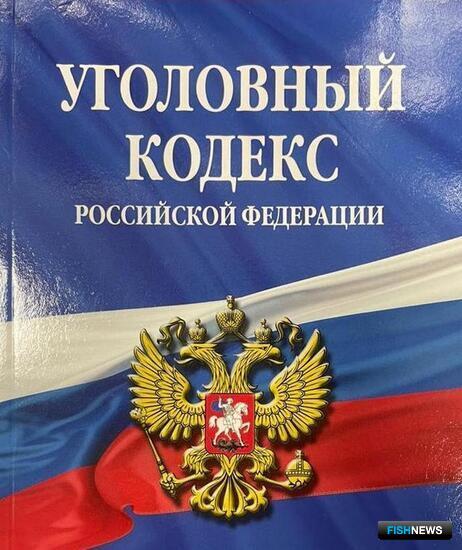 Бизнес на нелегальном гребешке принес проблемы