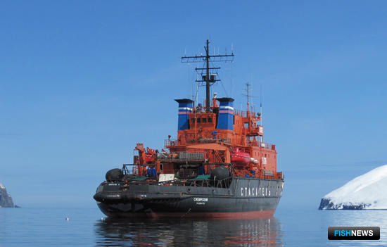 Ледокольно-спасательное судно «Сибирский» у западного побережья Камчатки. Фото сделано членами экипажа