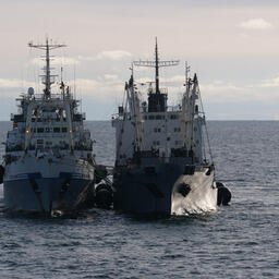 Перегрузы в море — важная составляющая промысла. Фото пресс-службы «Океанрыбфлота»