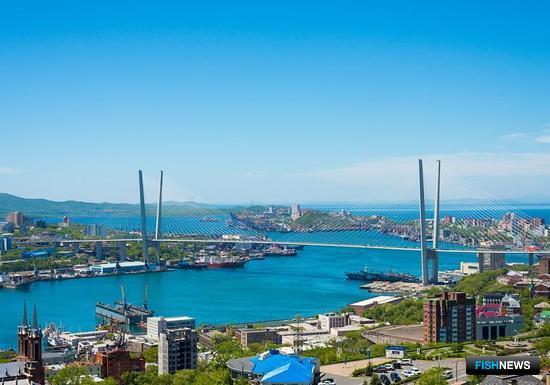 Владивосток. Фото пресс-службы Агентства по развитию человеческого капитала на Дальнем Востоке