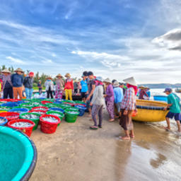 Власти Вьетнама хотят сделать рыбный промысел республики полностью легальным в 2022 г. Фото Seafood Source