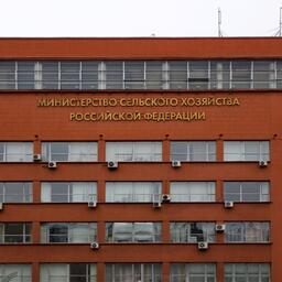 Вопросами рыбной отрасли в Министерстве сельского хозяйства РФ продолжит заниматься профильный департамент