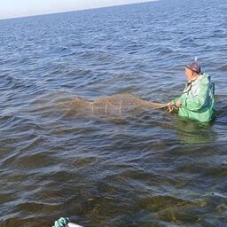 Лов вентерем. Фото пресс-службы ВНИРО