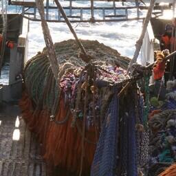 Рыбный промысел на Дальнем Востоке. Фото предоставлено «Океанрыбфлотом»