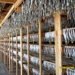 На внутренний рынок в 2016 году ушло 52%, или 155 тыс. тонн, рыбопродукции, произведенной предприятиями Хабаровского края