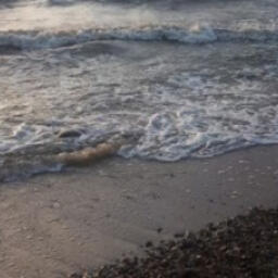 С 18 июля в Азовском море начался заморный период. Фото пресс-службы АзНИИРХ