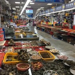 Власти Южной Кореи рассчитывают увеличить объем производства и экспорт рыбы и морепродуктов