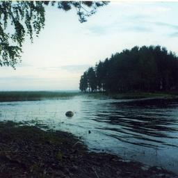 Озеро Янисъярви. Фото из «Википедии»