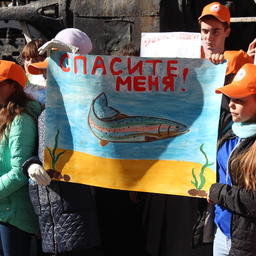 Школьникам Приморского края рассказали о важности сохранения лосося