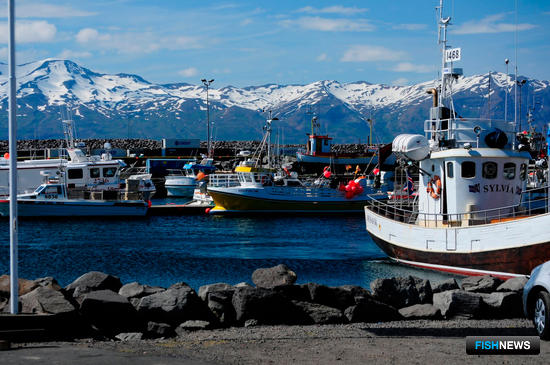 Рыболовные суда в Исландии. Фото из открытых источников