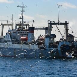Рыбный промысел на Дальнем Востоке. Фото пресс-службы «Океанрыбфлота»